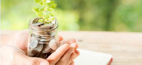 Growing savings concept with coins and plant for the best channel manager for holiday rentals.